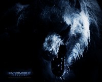 /album/galeria-de-fotos/underworld-evolution-3-jpg/