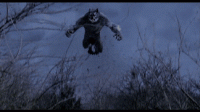 /album/galeria-de-fotos/lobisomeminteiroatacanoyk2-gif/