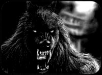 /album/galeria-de-fotos/imagessdgfgryhffht-jpeg/