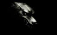 /album/galeria-de-fotos/imagestrut-jpeg/